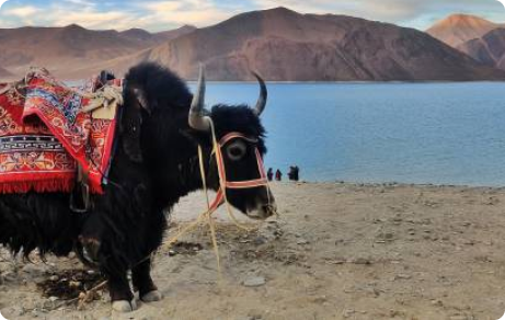 August 10 | Lhasa to Shigatse via Yamdrok Lake 